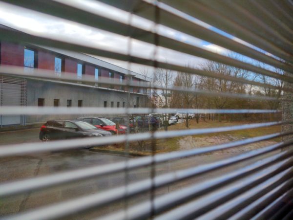 Debout, je vois quelques arbres quand même !